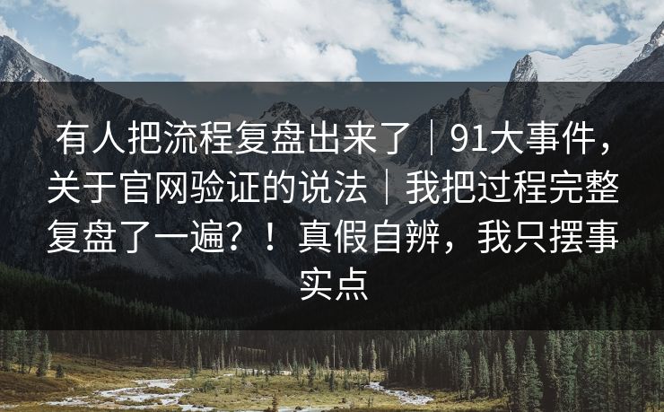 有人把流程复盘出来了｜91大事件，关于官网验证的说法｜我把过程完整复盘了一遍？！真假自辨，我只摆事实点